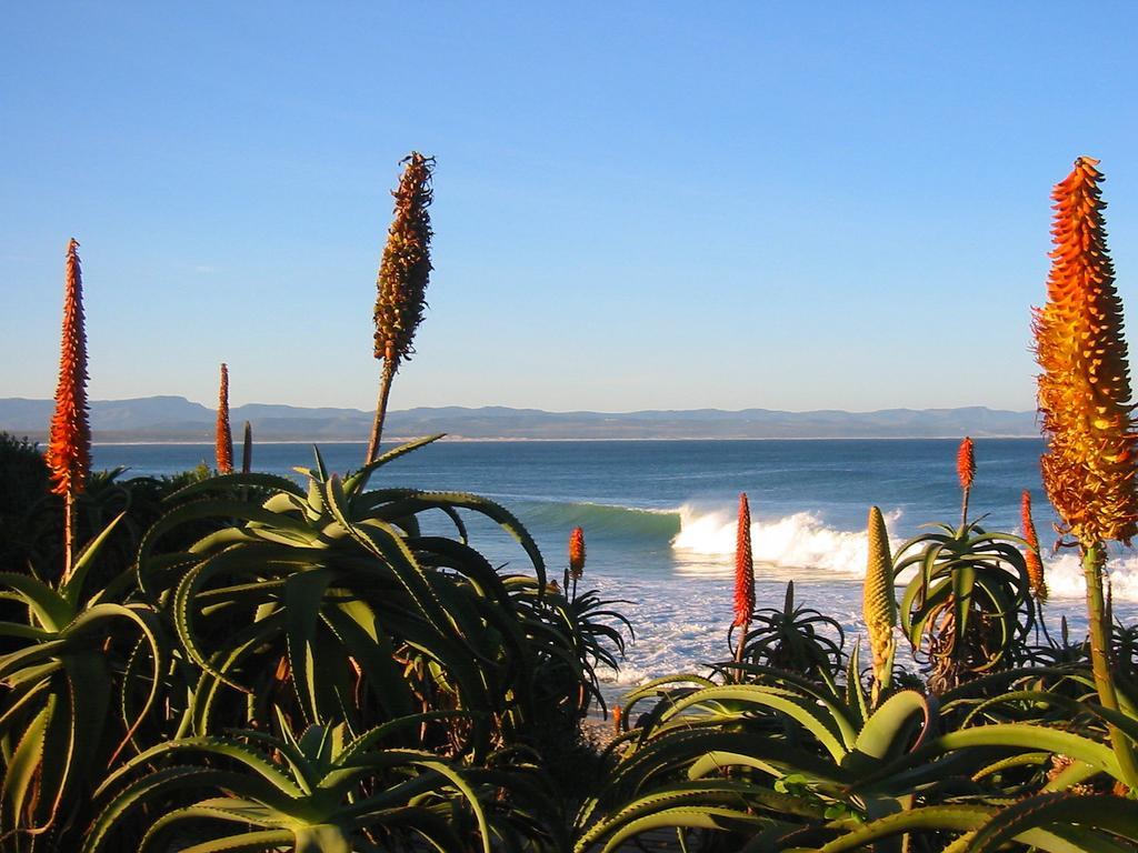 Beach House Jeffreys Bay Dış mekan fotoğraf