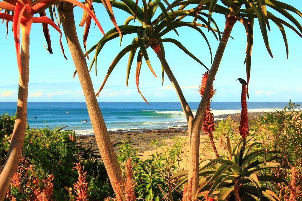 Beach House Jeffreys Bay Dış mekan fotoğraf